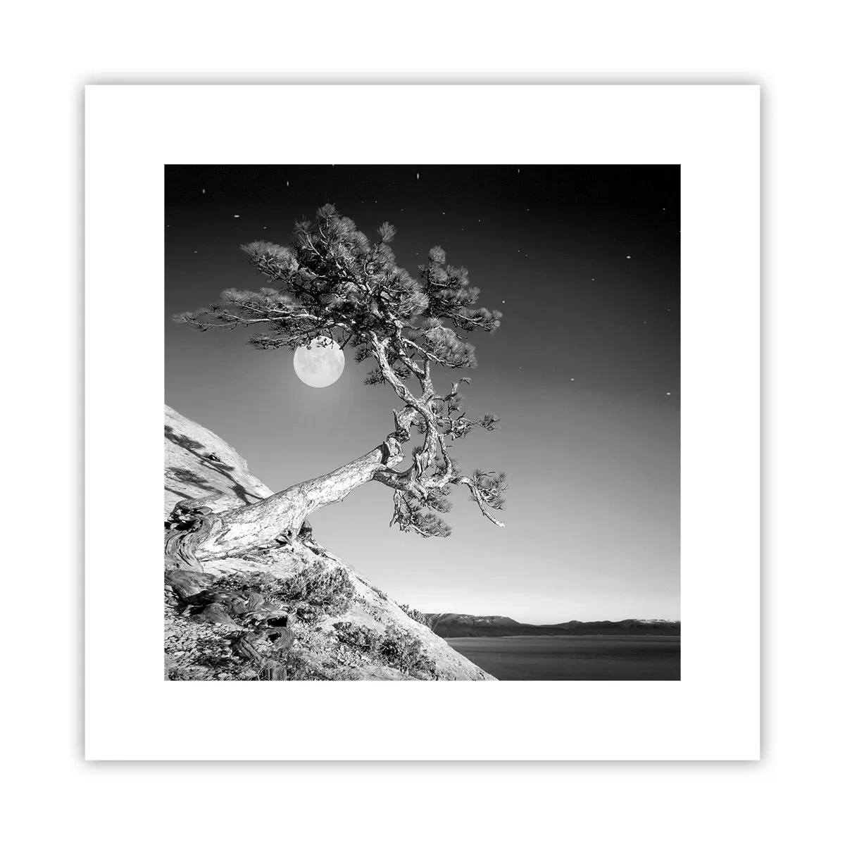 Affisch - Segerrik kämpe - 30x30 cm