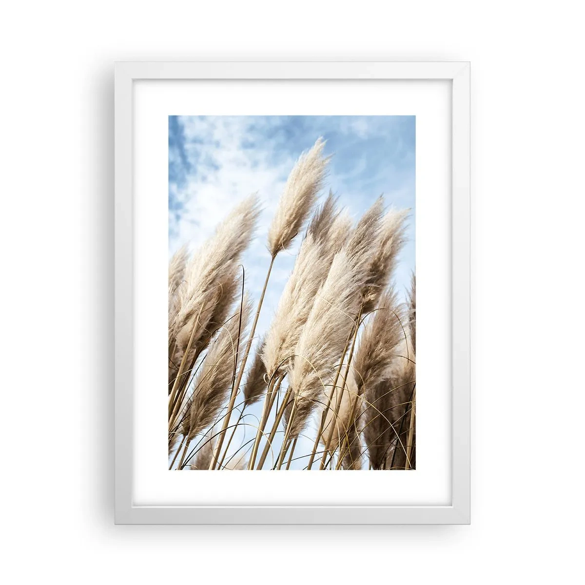 Affisch i vit ram - Solig och blåsig smekning - 30x40 cm