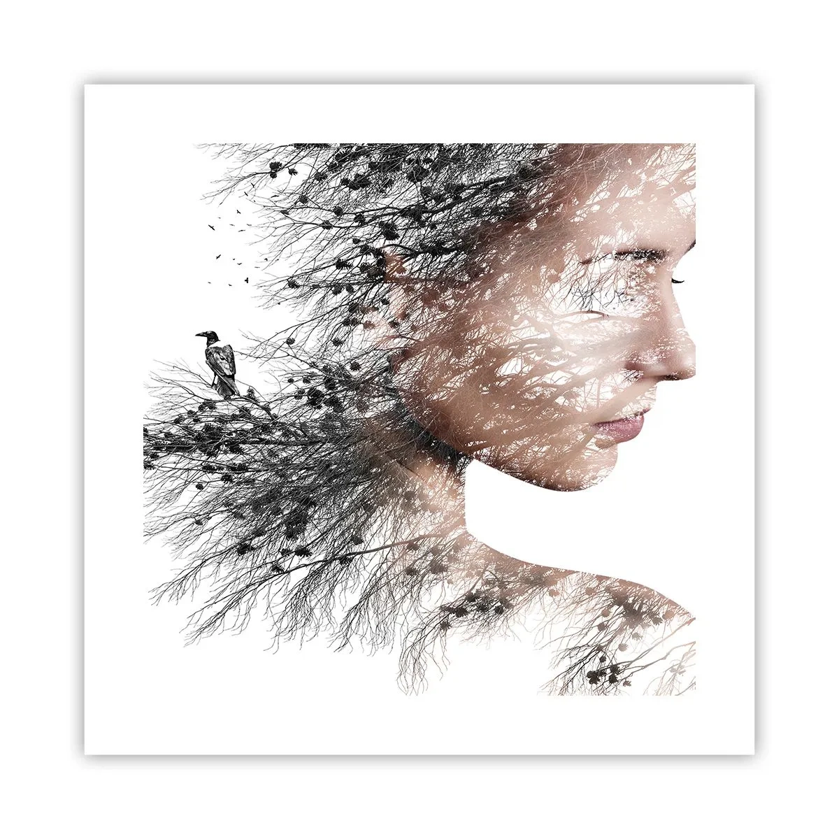 Affisch - Skogens ande - 40x40 cm