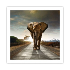 Affisch - Inte alls i en porslinsbutik - 60x60 cm