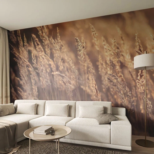 Fototapet Premium Sand - Redo att välkomna hösten - Landskap, Öron av säd, Äng - 450x315 cm