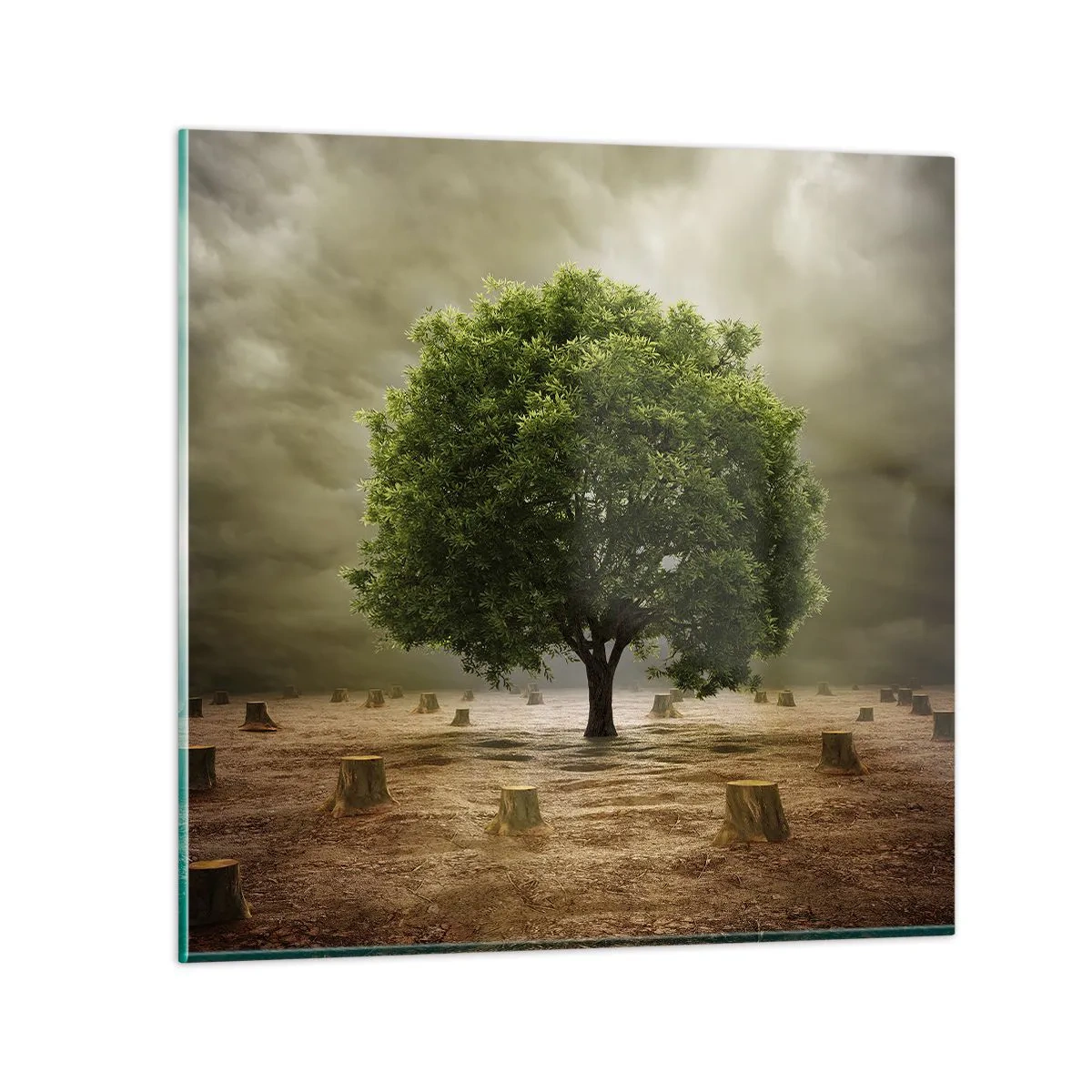 Glastavla - Bild på glas - Hela hoppet - 70x70 cm