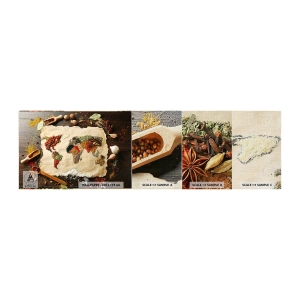Provbit av fototapet Premium Canvas - Världens alla smaker - Gastronomi, Världskarta, Torkade kryddor - 100x30 cm