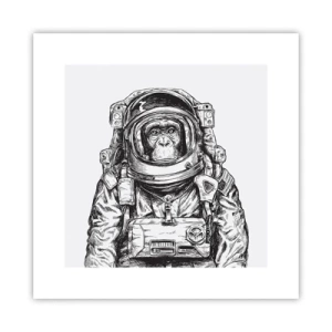Affisch - Alternativ evolution - 30x30 cm