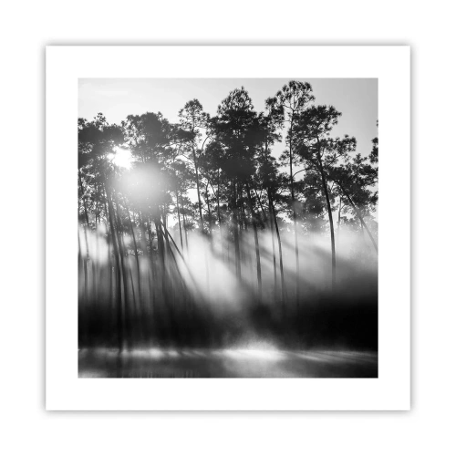 Affisch - Ostoppad sol - 40x40 cm