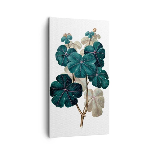 Canvastavla - Bild på duk - Från ett gammalt herbarium - 45x80 cm