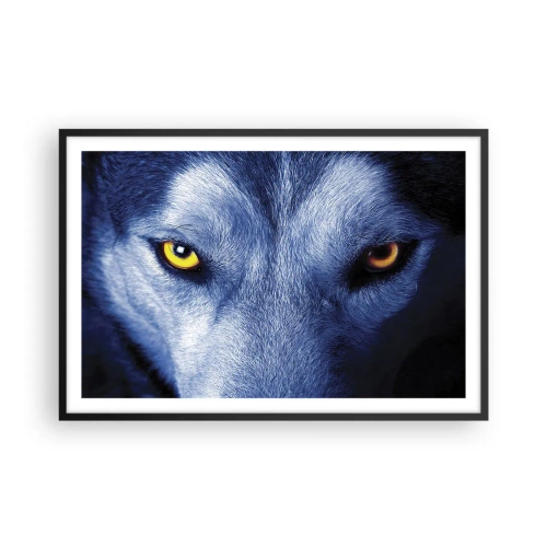 Affisch i svart ram - Hypnotiserade titt - 91x61 cm
