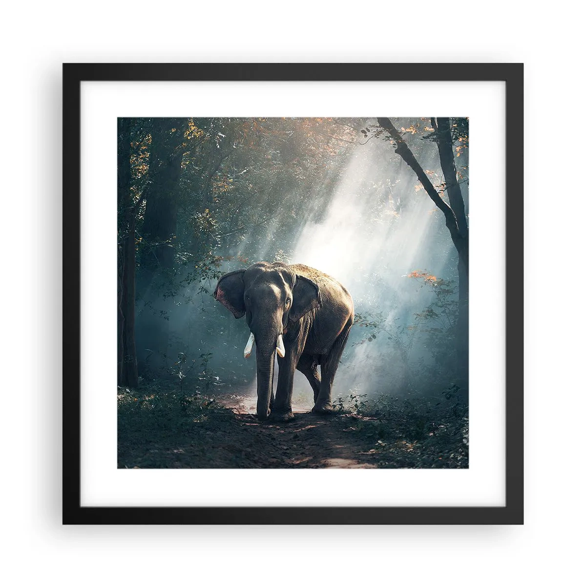 Affisch i svart ram - Lugn promenad - 40x40 cm