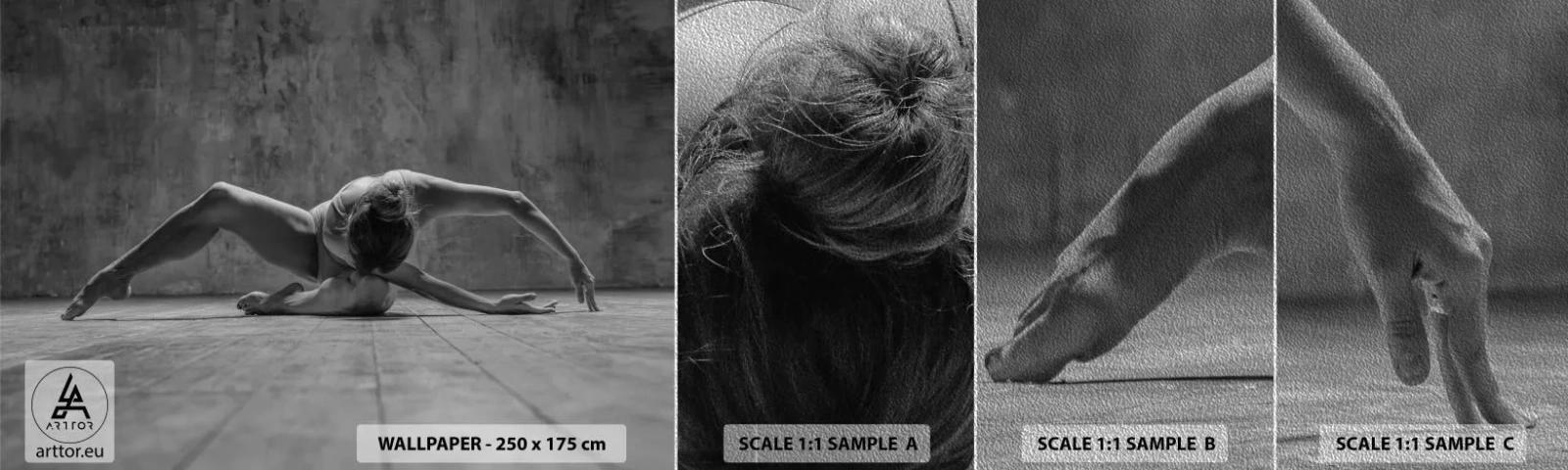 Provbit av fototapet Premium Sand - Upphittad symmetri - Ballerina, Balett, Dansa - 100x30 cm