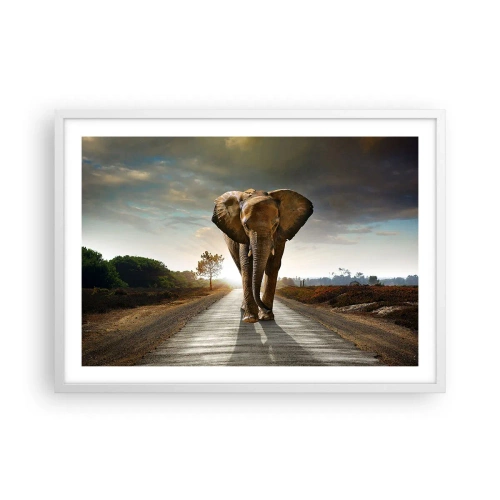 Affisch i vit ram - Inte alls i en porslinsbutik - 70x50 cm