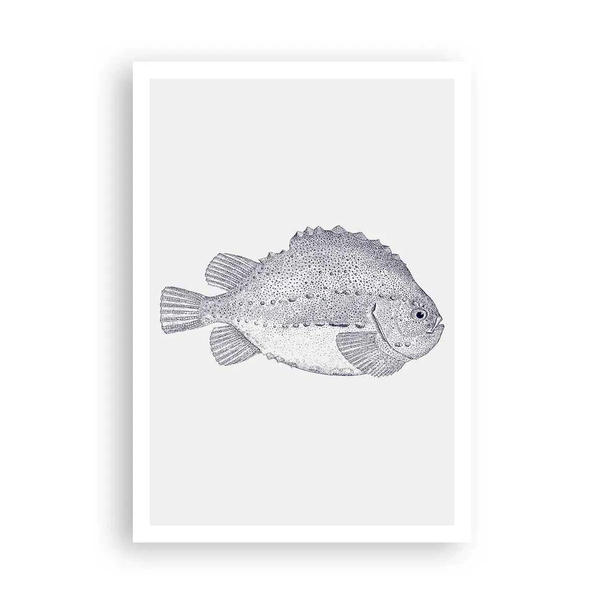 Affisch - Till naturforskarens album - 70x100 cm