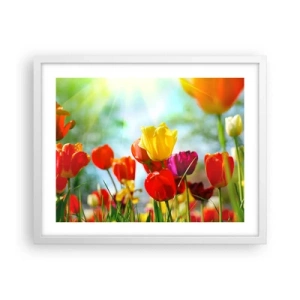 Affisch i vit ram - Solens alla färger - 50x40 cm