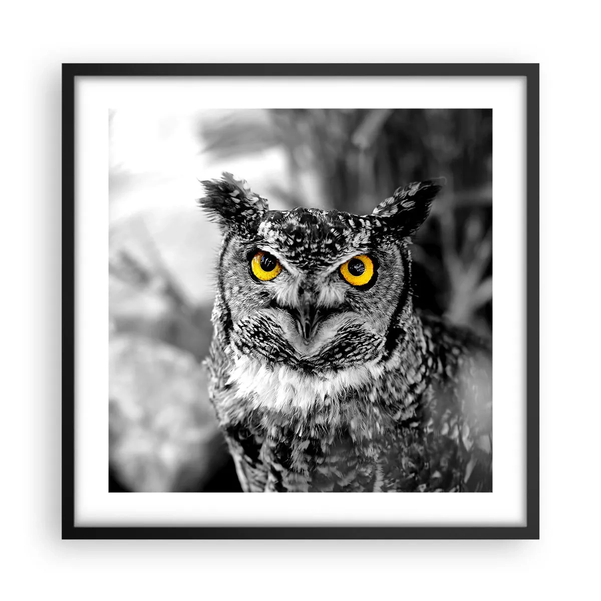 Affisch i svart ram - Inget kommer undan - 50x50 cm