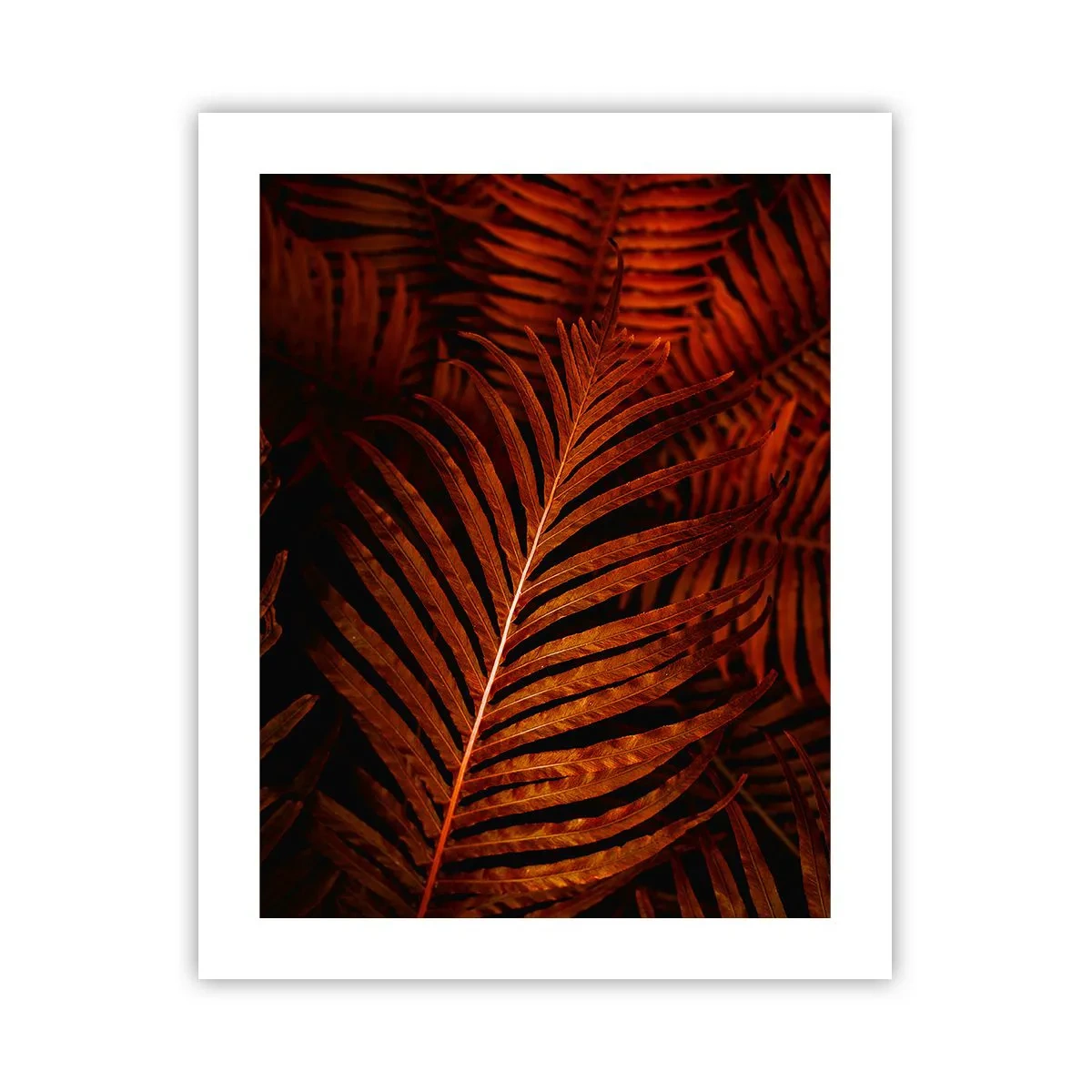 Affisch - Livets glöd - 40x50 cm