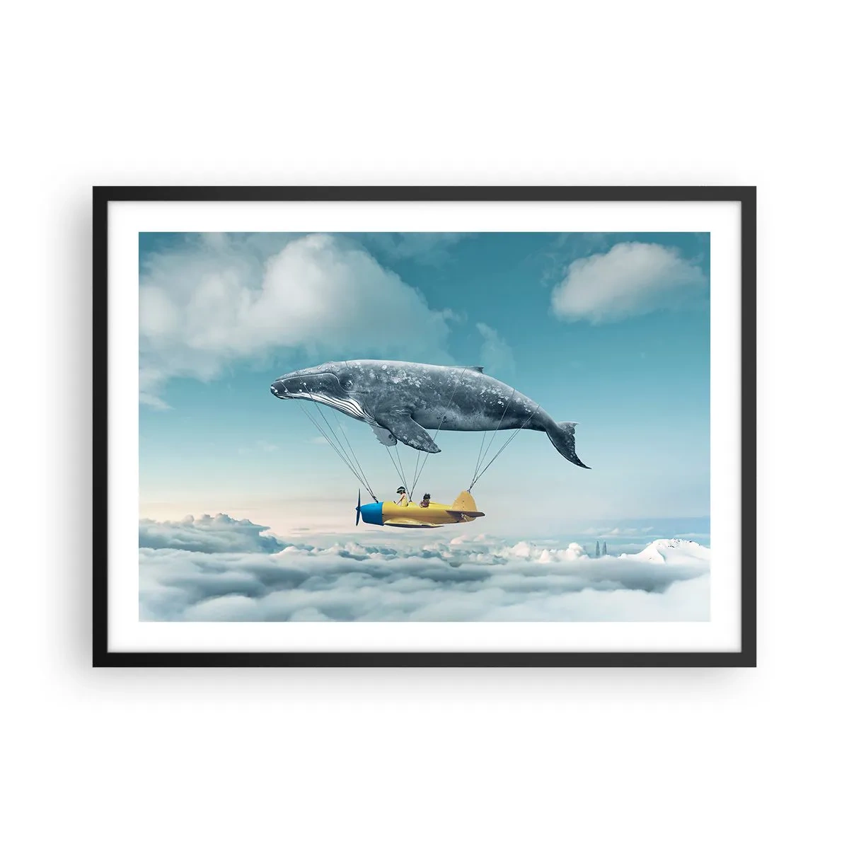 Affisch i svart ram - Varför inte? - 70x50 cm