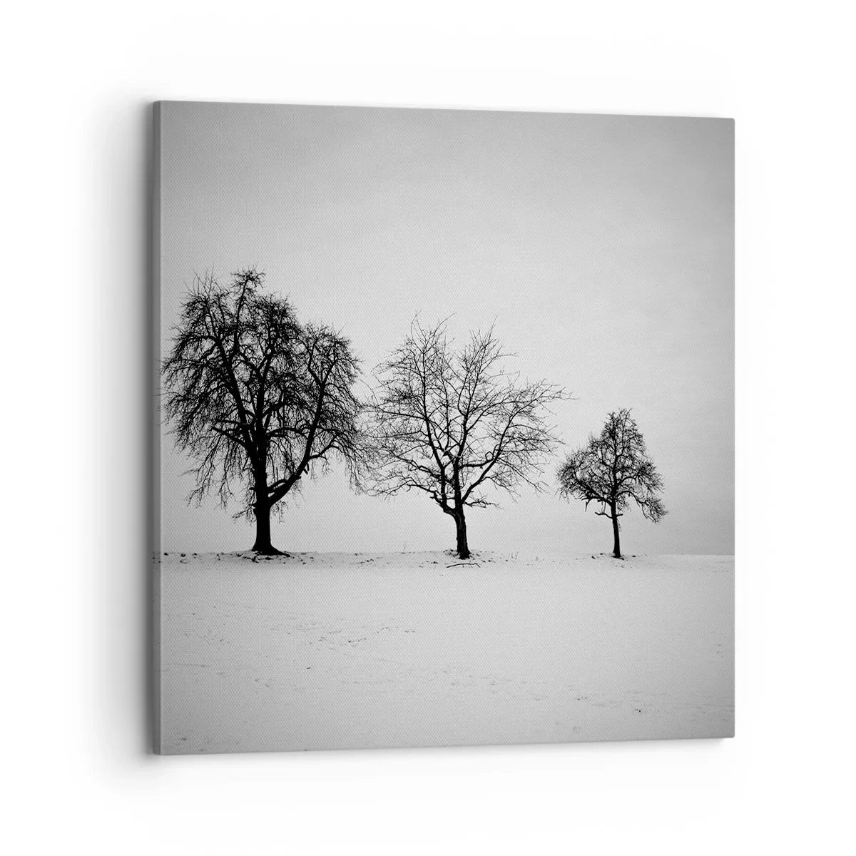 Canvastavla - Bild på duk - Vad drömmer de om? - 70x70 cm