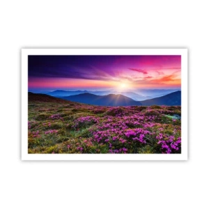 Affisch - Doftande örter - 91x61 cm