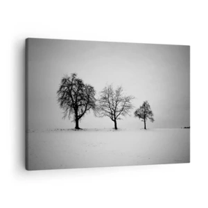 Canvastavla - Bild på duk - Tre träd i ett snöigt fält i monokromatisk stil - 70x50cm - Vad drömmer de om? - Modern väggdekoration för vardagsrum och sovrum ARTTOR
