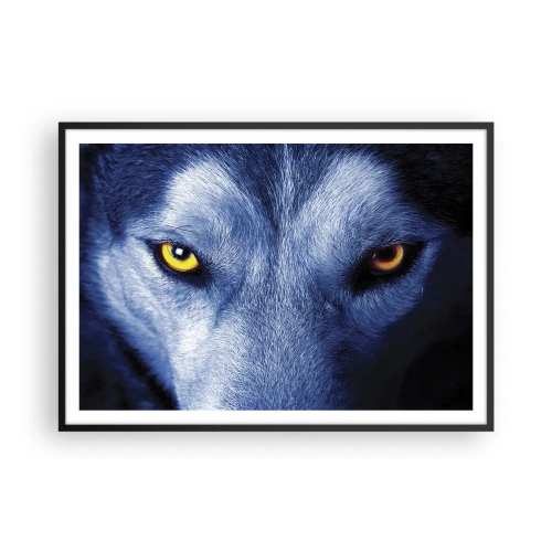 Affisch i svart ram - Hypnotiserade titt - 100x70 cm