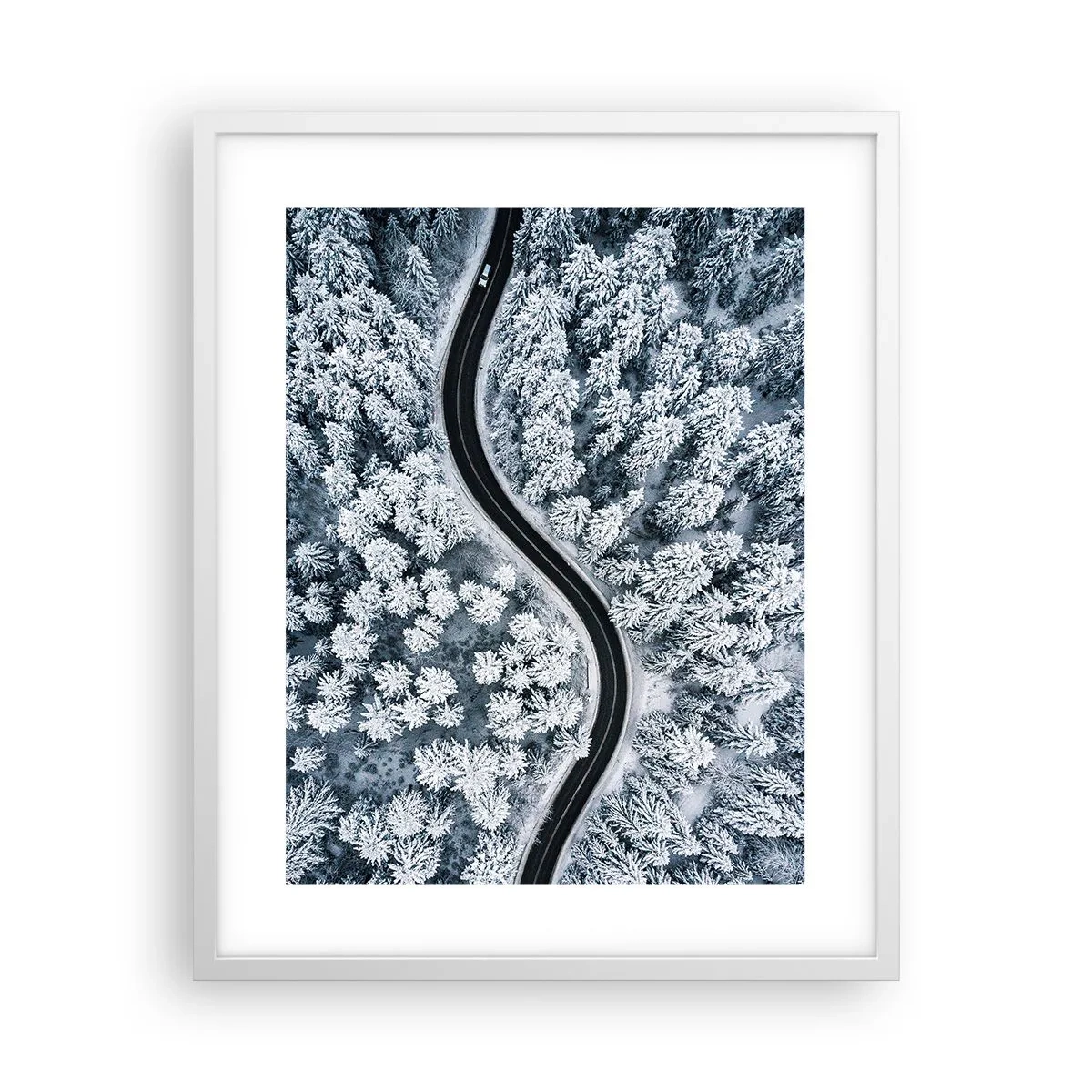 Affisch i vit ram - Genom vinterskogen - 40x50 cm