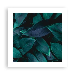 Affisch - Grönskan själv - 40x40 cm