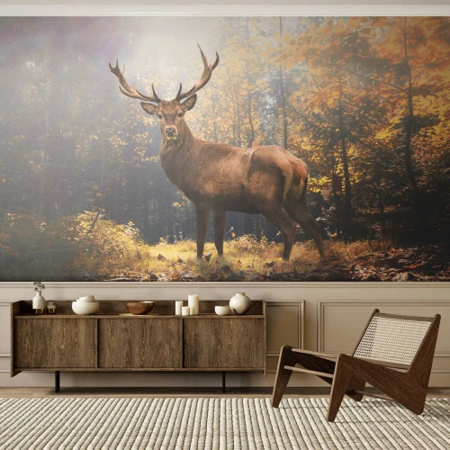 Fototapet Premium Sand - I fullt majestät - Landskap, Rådjur, Skog - 100x70 cm