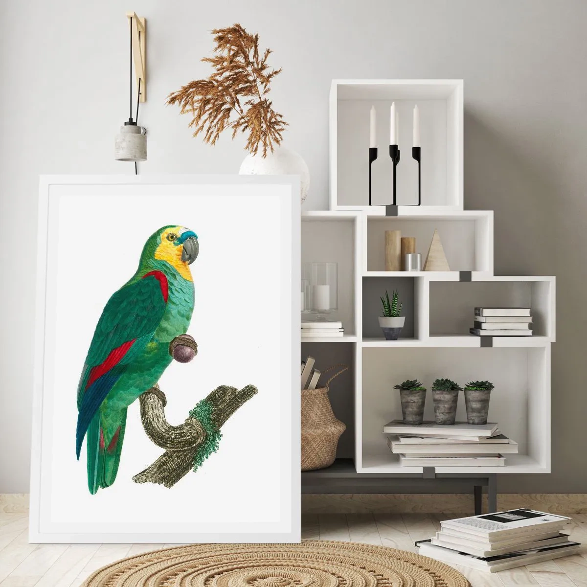 Affisch i vit ram - Porträtt av papegoja - 61x91 cm