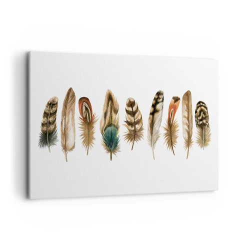 Canvastavla - Bild på duk - Fjädervariation - 120x80 cm