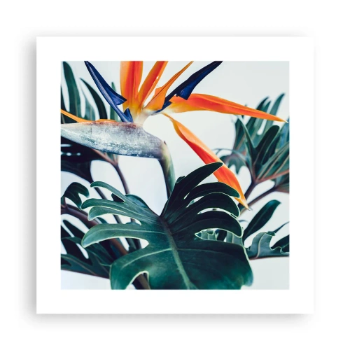 Affisch - Fågelbuske - 40x40 cm