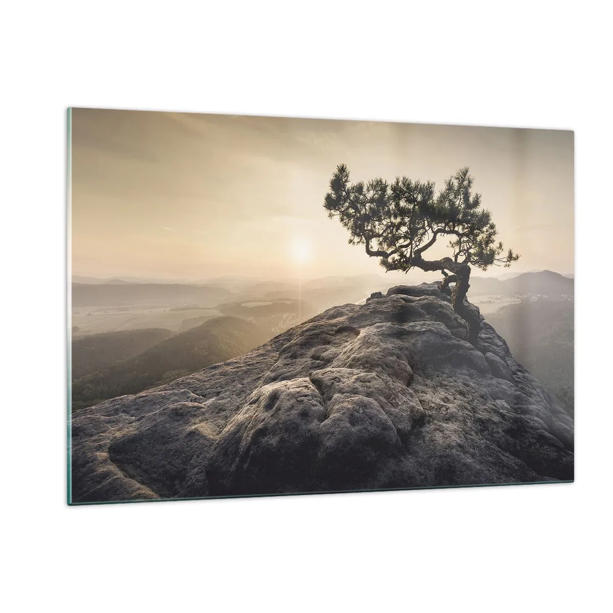 Glastavla - Bild på glas - Livet vinner alltid - 120x80 cm