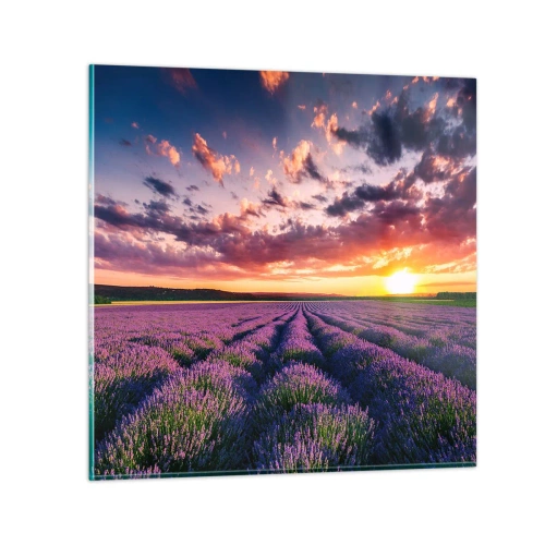 Glastavla - Bild på glas - Lavandelvärld - 70x70 cm