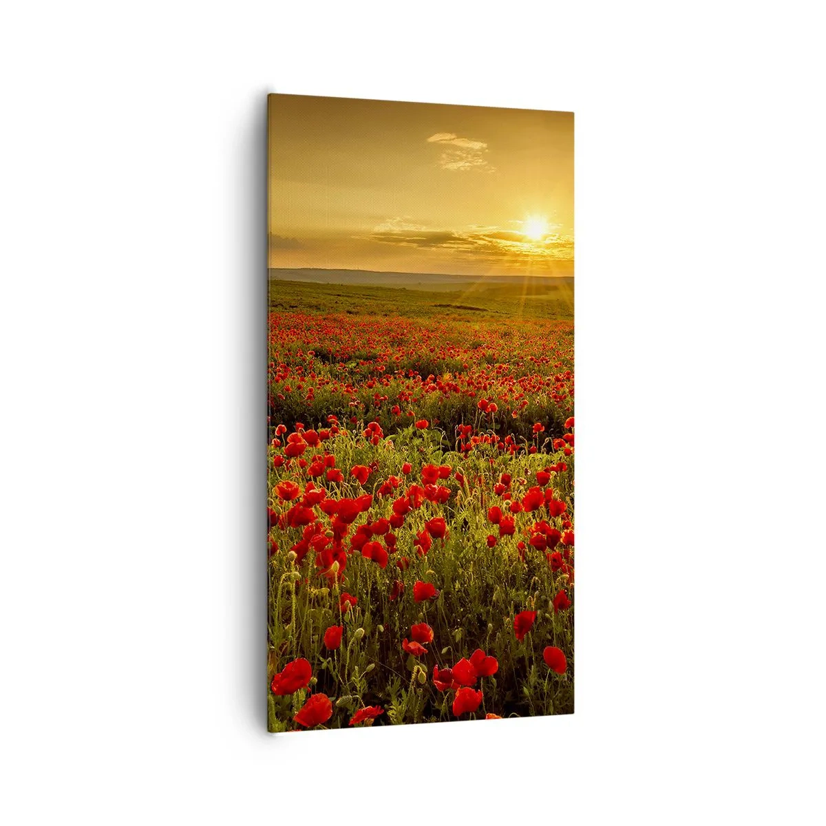 Canvastavla - Bild på duk - Bland brusande ängars vågor, bland blommornas flod - 65x120 cm