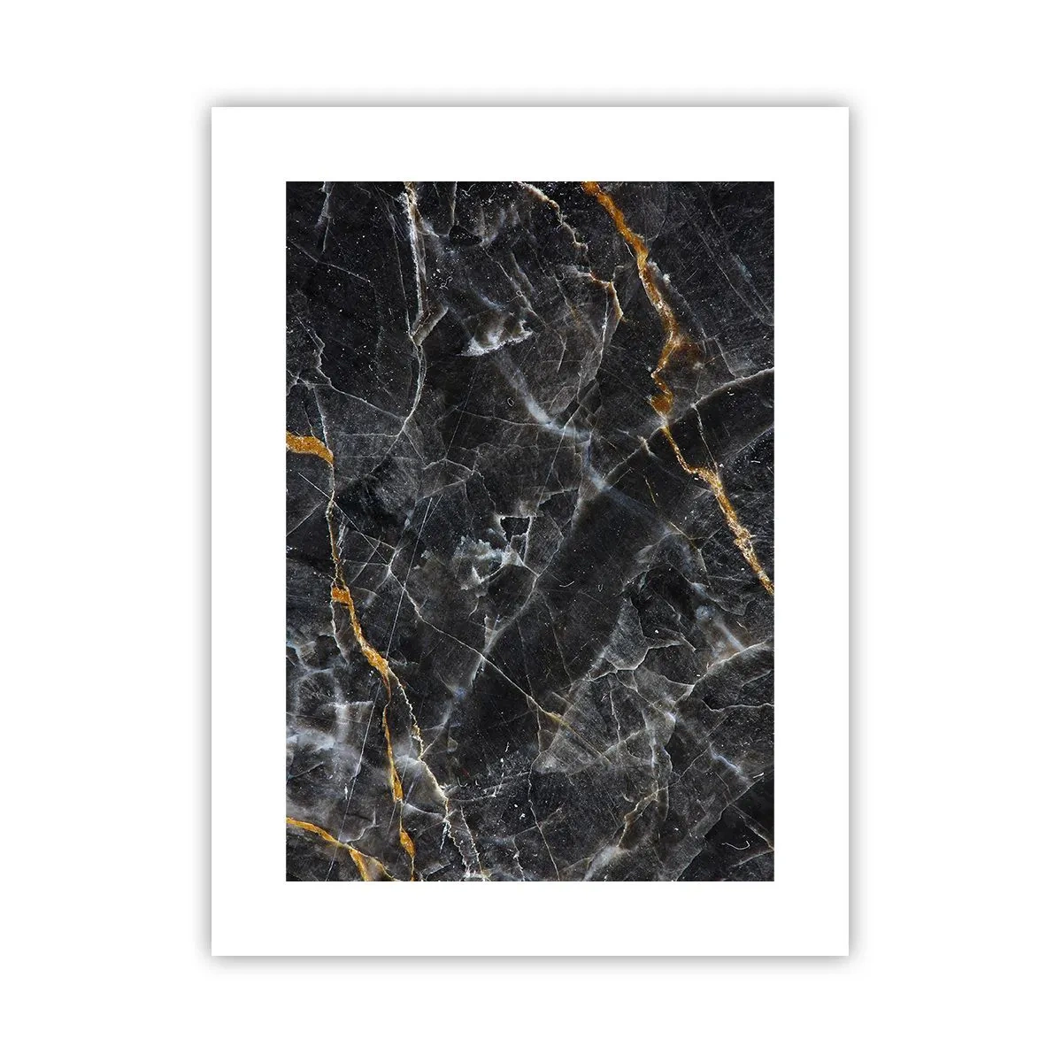 Affisch - Stenens interna liv - 30x40 cm