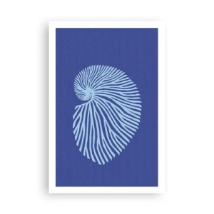 Affisch - Födelse av ett skal - 61x91 cm