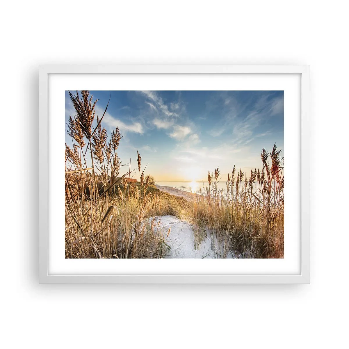 Affisch i vit ram - Nordlig strand - 50x40 cm