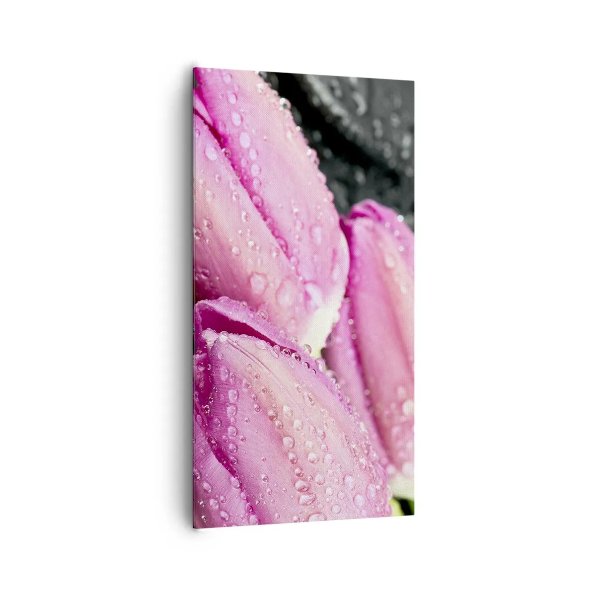 Canvastavla - Bild på duk - Tre i lila färg på en sten - 65x120 cm