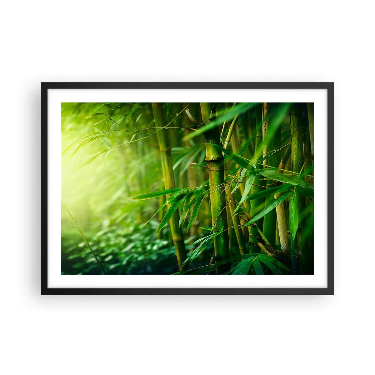 Affisch i svart ram - Lär känna grönskan i sig - 70x50 cm