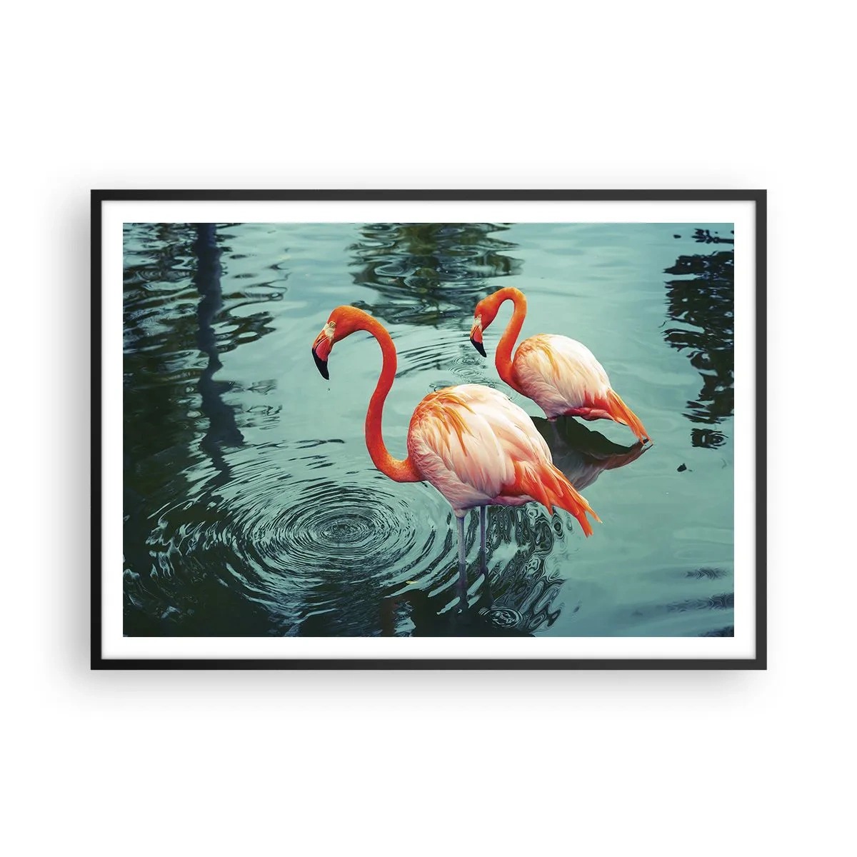 Affisch i svart ram - Nu är vi på modet - 100x70 cm