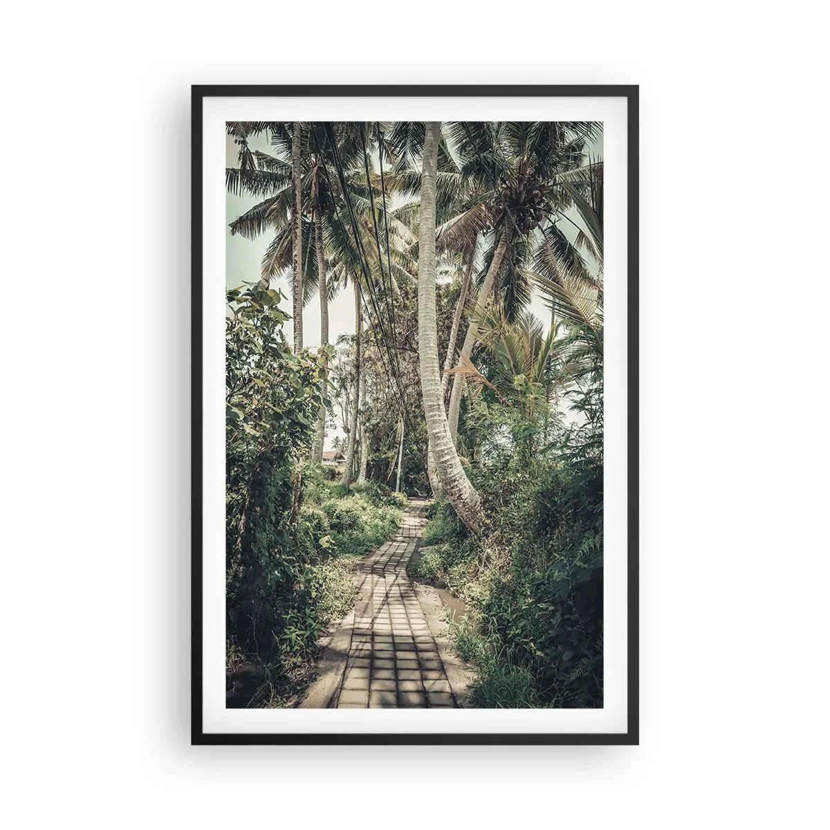 Affisch i svart ram - Palmallé - 61x91 cm