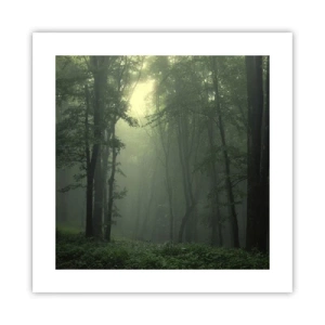 Affisch - Innan skogen vaknar - 40x40 cm