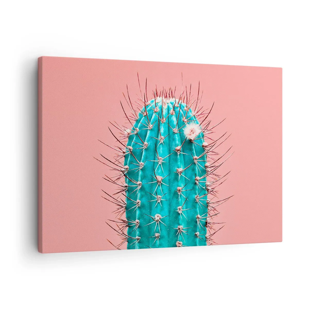 Canvastavla - Bild på duk - En konstnärlig tolkning av en kaktus mot en rosa bakgrund - 70x50cm - Titta bara - Modern väggdekoration för vardagsrum och sovrum ARTTOR