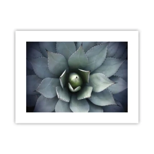 Affisch - Lockar och varnar - 40x30 cm