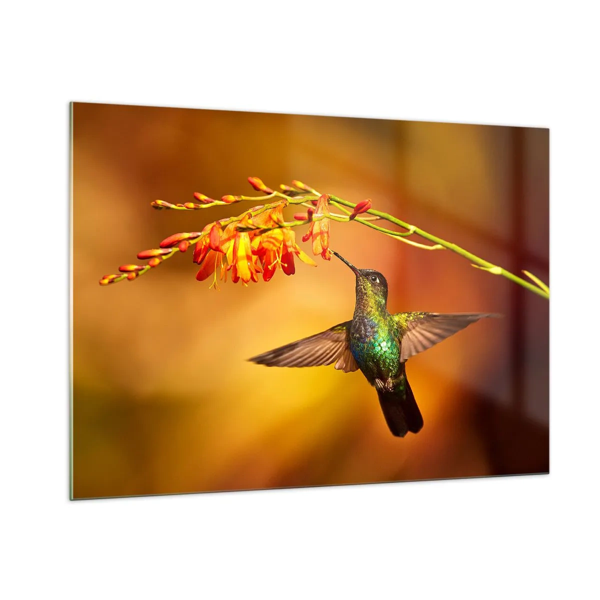 Glastavla - Bild på glas - Ljusbud enligt Mayafolket - 100x70 cm