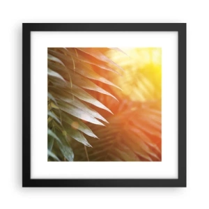 Affisch i svart ram - En morgon i djungeln - 30x30 cm