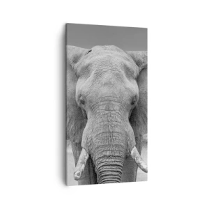 Canvastavla - Bild på duk - Välkommen till min värld - 45x80 cm