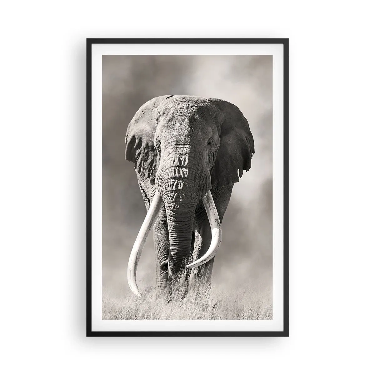 Affisch i svart ram - Afrikansk patriark - 61x91 cm