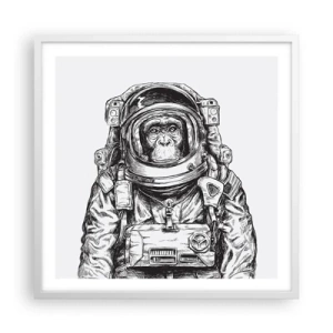 Affisch i vit ram - Alternativ evolution - 60x60 cm