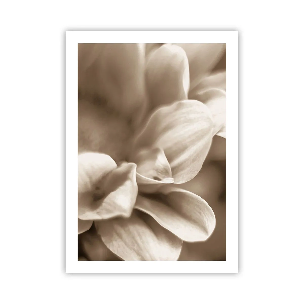 Affisch - Milda som ett leende - 50x70 cm