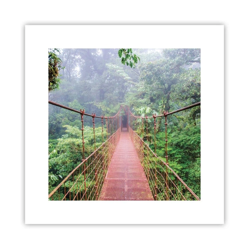 Affisch - Upphängd i trädkronorna - 30x30 cm