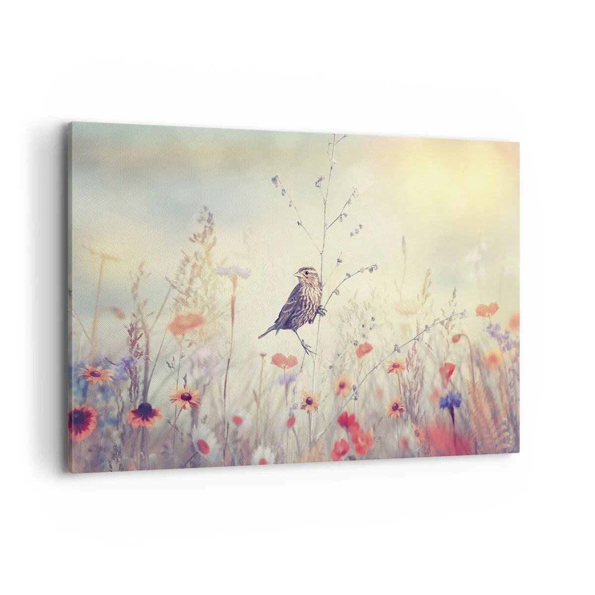 Canvastavla - Bild på duk - Fågelporträtt med en äng i bakgrunden - 120x80 cm